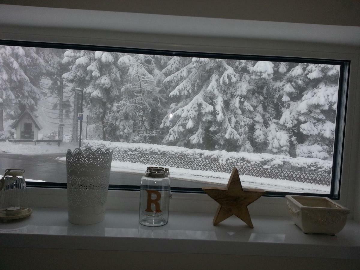 Ferienhaus Bergidylle Winterberg Exteriér fotografie