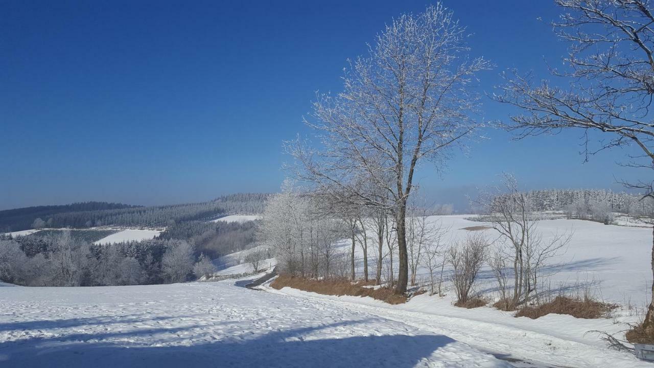 Ferienhaus Bergidylle Winterberg Exteriér fotografie