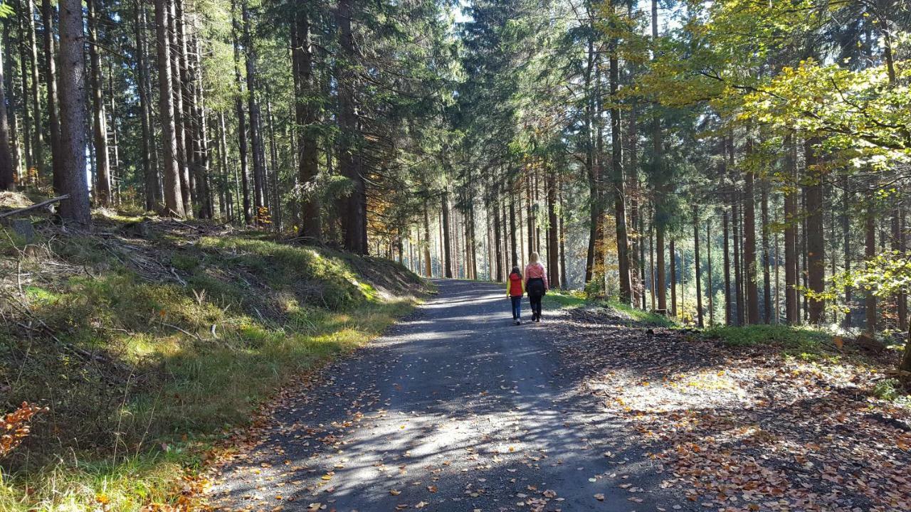 Ferienhaus Bergidylle Winterberg Exteriér fotografie
