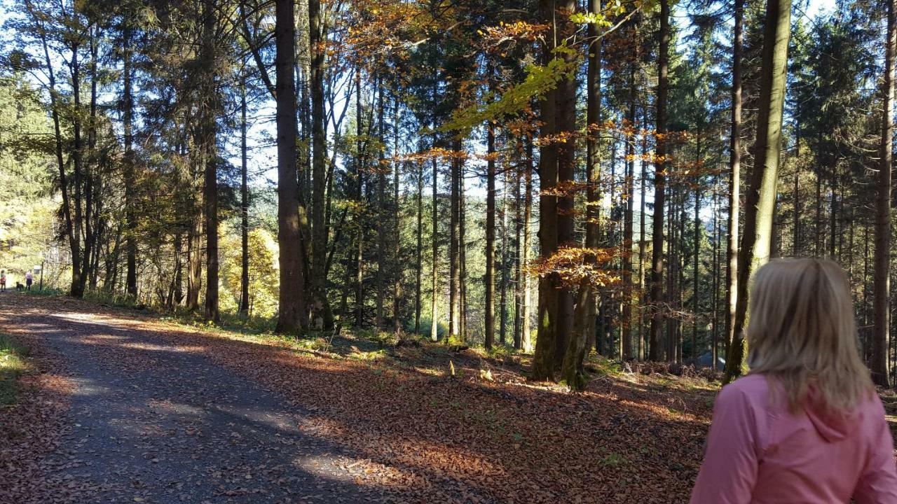 Ferienhaus Bergidylle Winterberg Exteriér fotografie