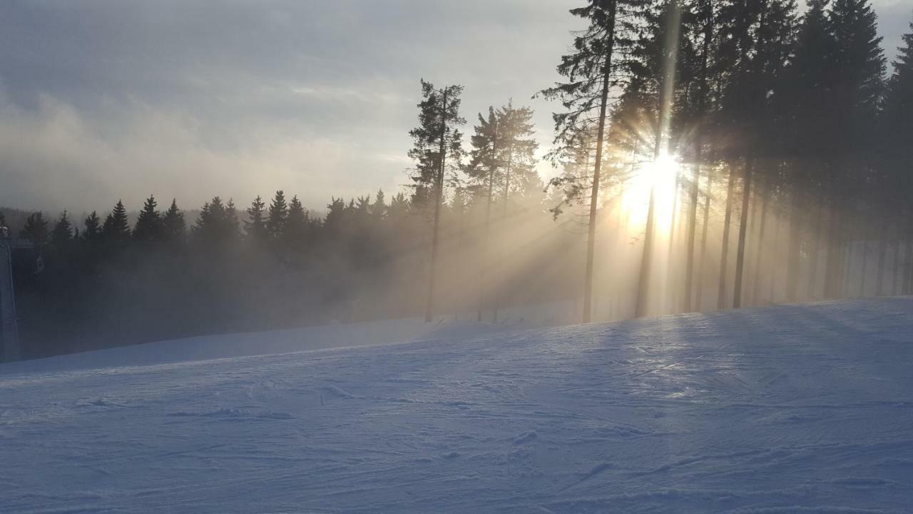 Ferienhaus Bergidylle Winterberg Exteriér fotografie
