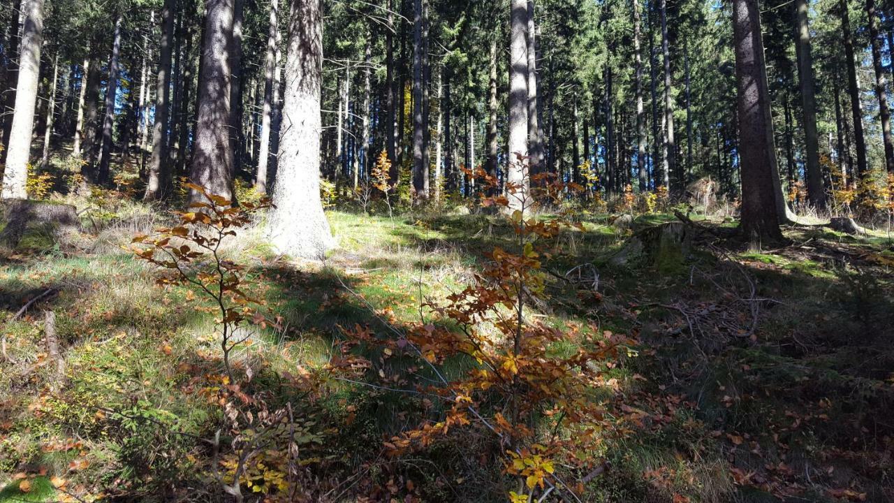 Ferienhaus Bergidylle Winterberg Exteriér fotografie