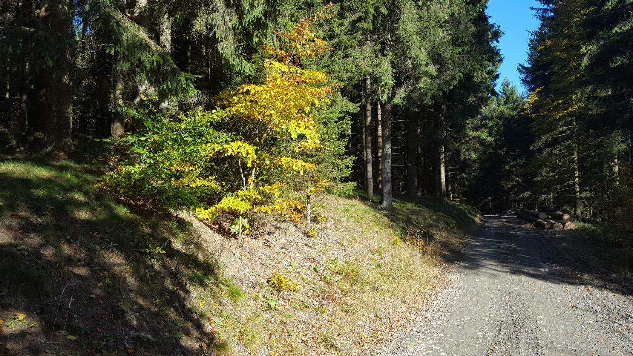 Ferienhaus Bergidylle Winterberg Exteriér fotografie