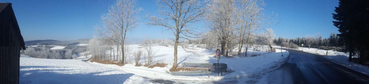 Ferienhaus Bergidylle Winterberg Exteriér fotografie