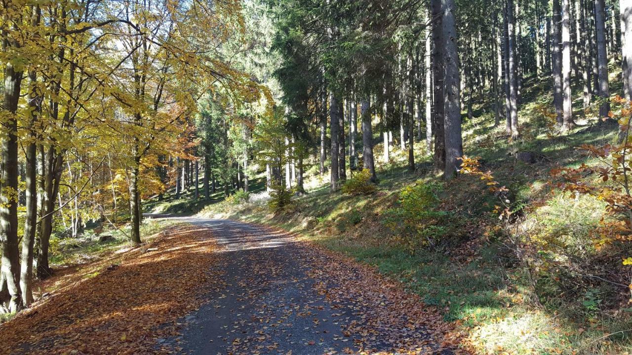Ferienhaus Bergidylle Winterberg Exteriér fotografie