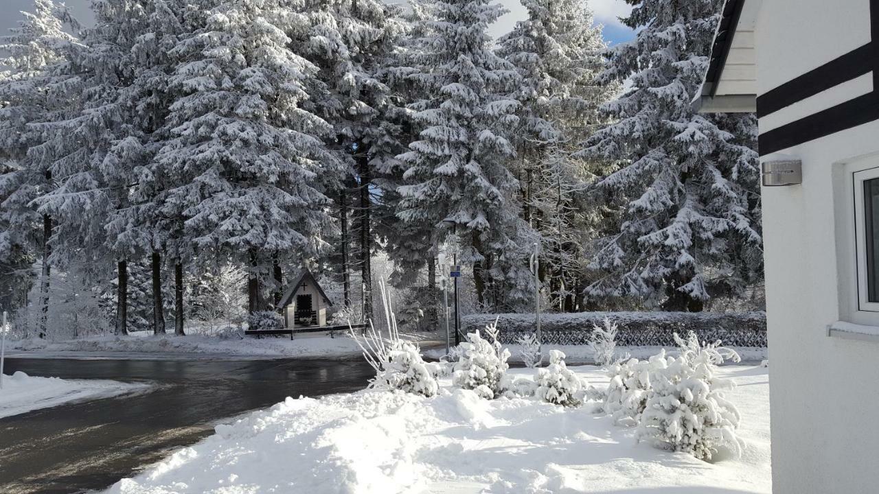 Ferienhaus Bergidylle Winterberg Exteriér fotografie