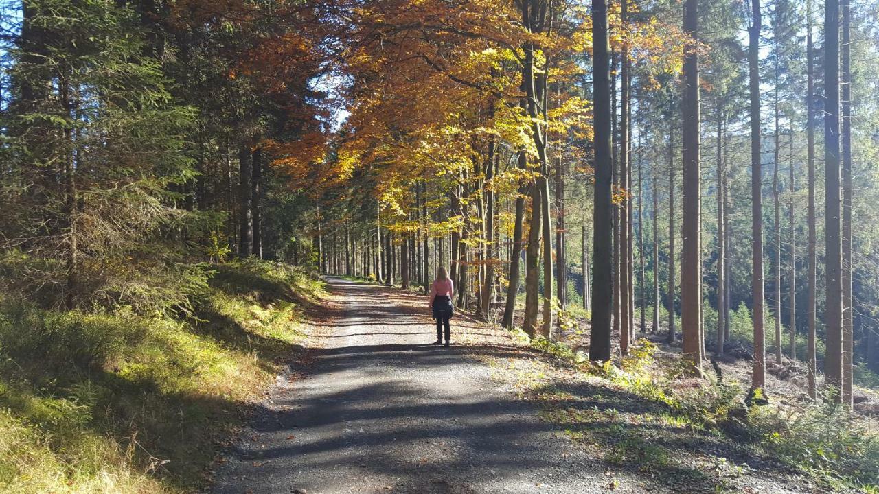 Ferienhaus Bergidylle Winterberg Exteriér fotografie