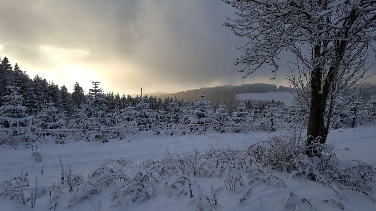 Ferienhaus Bergidylle Winterberg Exteriér fotografie