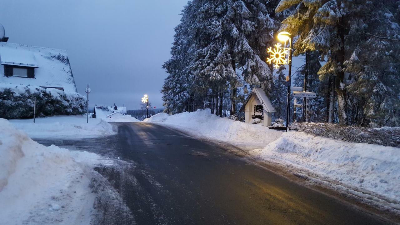 Ferienhaus Bergidylle Winterberg Exteriér fotografie