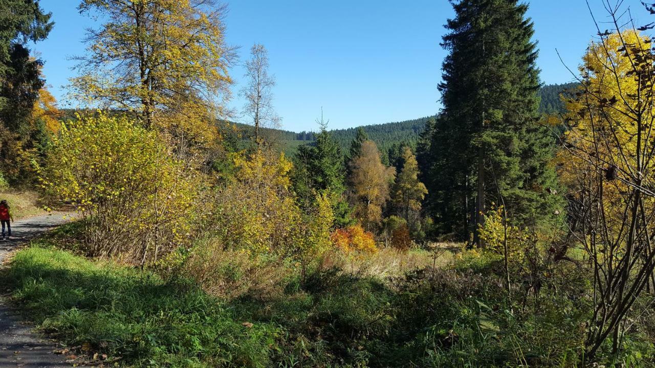Ferienhaus Bergidylle Winterberg Exteriér fotografie